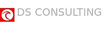 DS CONSULTING